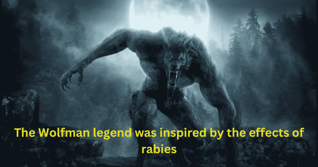 The link between Rabies and werewolves' stories