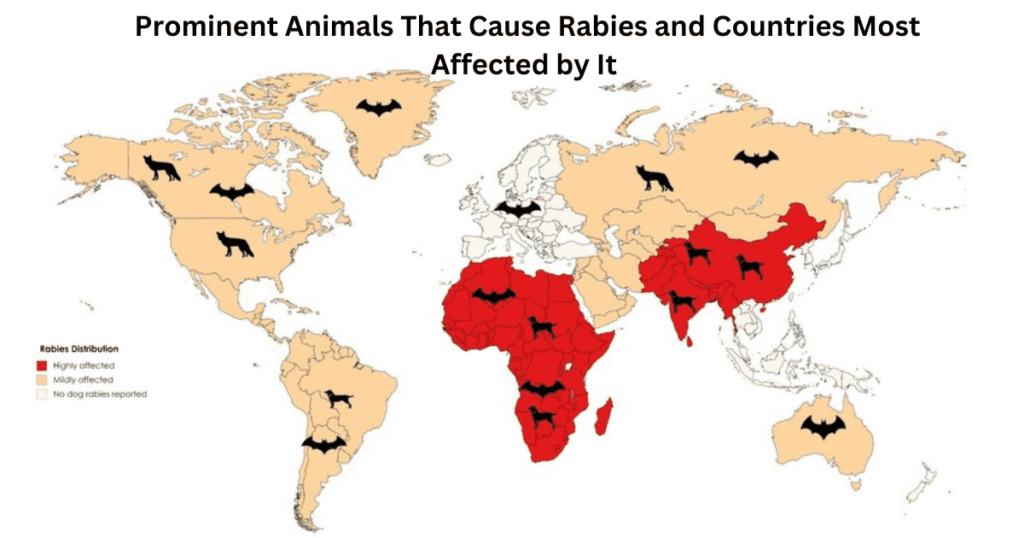 How to Protect ourselves from Rabies