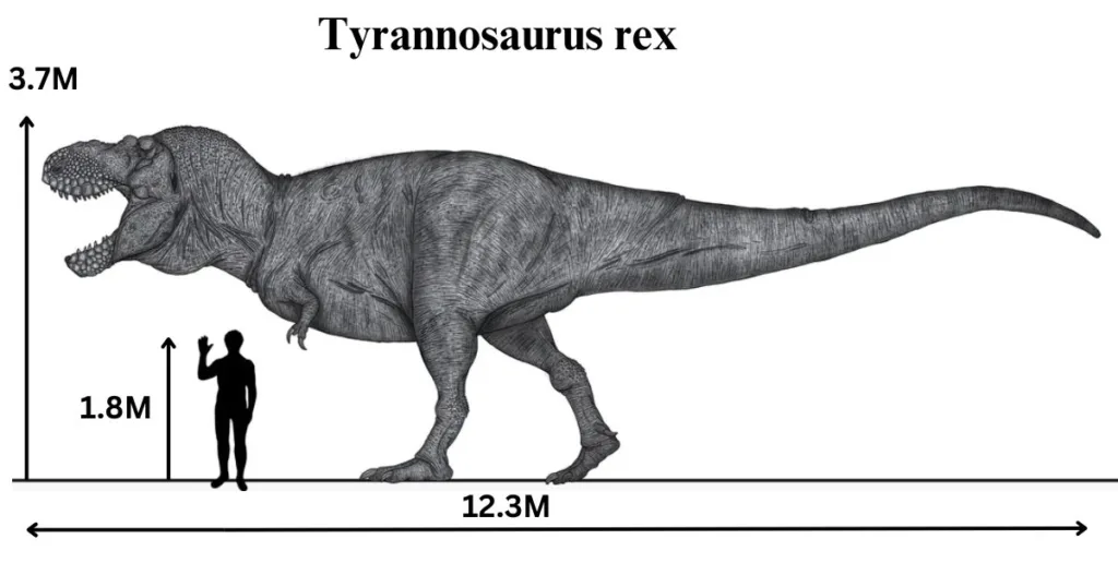 Science facts for students